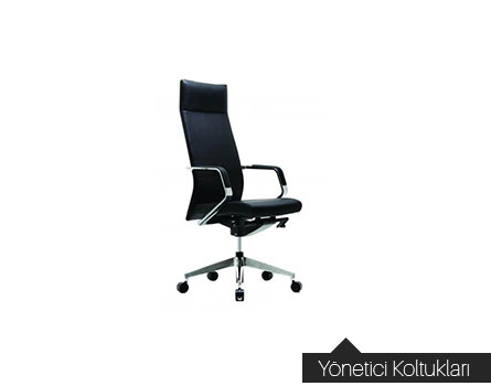 Yönetici Koltukları